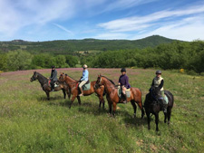 Italy-Tuscany-Ride and Relax in Chianti